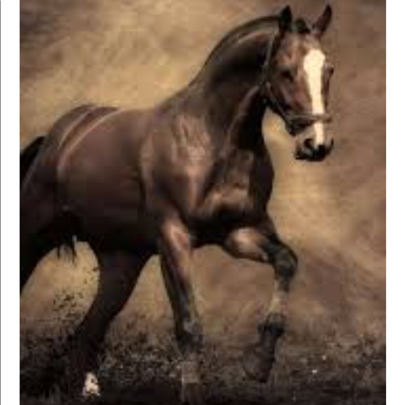 Meet your Posher, Frankie - Picture 1 of 1